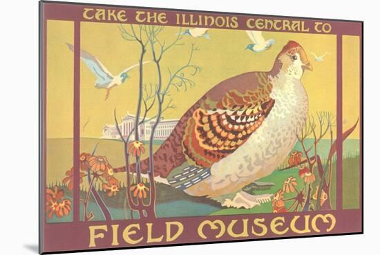 Poster for Field Museum with Quail-null-Mounted Art Print