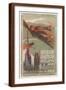 Brown Frame