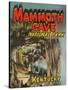 Poster for Mammoth Cave-null-Stretched Canvas