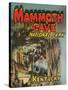 Poster for Mammoth Cave-null-Stretched Canvas