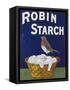 Poster for Robin Starch-null-Framed Stretched Canvas