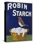 Poster for Robin Starch-null-Stretched Canvas