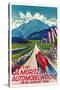 Poster for Swiss Auto Race-null-Stretched Canvas