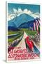 Poster for Swiss Auto Race-null-Stretched Canvas