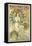 Poster for the Railway Company 'Chemin De Fers P.L.M.', 1897-Alphonse Mucha-Framed Stretched Canvas