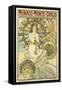 Poster for the Railway Company 'Chemin De Fers P.L.M.', 1897-Alphonse Mucha-Framed Stretched Canvas