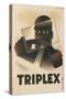 Poster for Triplex Auto Glass-null-Stretched Canvas