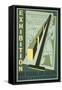 Poster for Wpa Art Exhibition-null-Framed Stretched Canvas