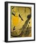 Poster: Jane Avril at the 'Jardins De Paris', 1893-Henri de Toulouse-Lautrec-Framed Art Print