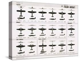 Poster of Italian Combat and Transport Aircraft-null-Stretched Canvas