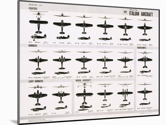 Poster of Italian Combat and Transport Aircraft-null-Mounted Premium Photographic Print