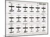 Poster of Italian Combat and Transport Aircraft-null-Mounted Premium Photographic Print
