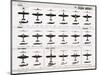 Poster of Italian Combat and Transport Aircraft-null-Mounted Photographic Print