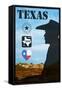 Poster of Texas-MishaAbesadze-Framed Stretched Canvas