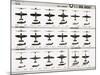 Poster of U.S. Naval Combat and Transport Aircraft-null-Mounted Photographic Print