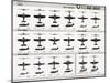 Poster of U.S. Naval Combat and Transport Aircraft-null-Mounted Photographic Print