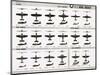 Poster of U.S. Naval Combat and Transport Aircraft-null-Mounted Photographic Print