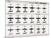 Poster of U.S. Naval Combat and Transport Aircraft-null-Mounted Photographic Print