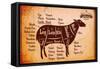 Poster with Detailed Diagram Cutting Lamb-111chemodan111-Framed Stretched Canvas