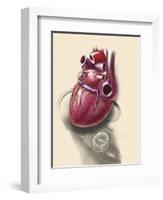 Posterior View of Human Heart on Photo of Blood Pressure Cuff-null-Framed Art Print