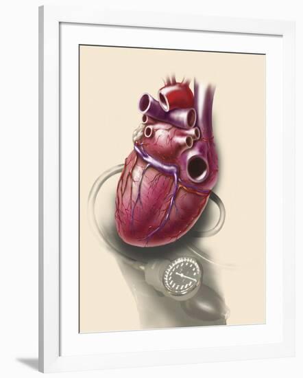 Posterior View of Human Heart on Photo of Blood Pressure Cuff-null-Framed Art Print