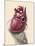 Posterior View of Human Heart on Photo of Blood Pressure Cuff-null-Mounted Art Print