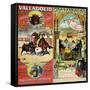 Posters Advertising Bull-Fights in Valladolid, 1896 and in Bayonne, 1897-null-Framed Stretched Canvas