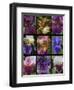 Posters of irises shot in Aquitaine province of France after a rain.-Mallorie Ostrowitz-Framed Photographic Print