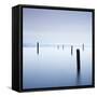 Postes En Sausalito-Moises Levy-Framed Stretched Canvas