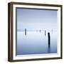 Postes En Sausalito-Moises Levy-Framed Photographic Print