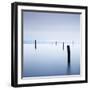 Postes En Sausalito-Moises Levy-Framed Photographic Print