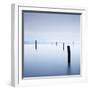 Postes En Sausalito-Moises Levy-Framed Photographic Print