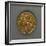 Posthumous Stater of Philip II Depicting Chariot-null-Framed Giclee Print