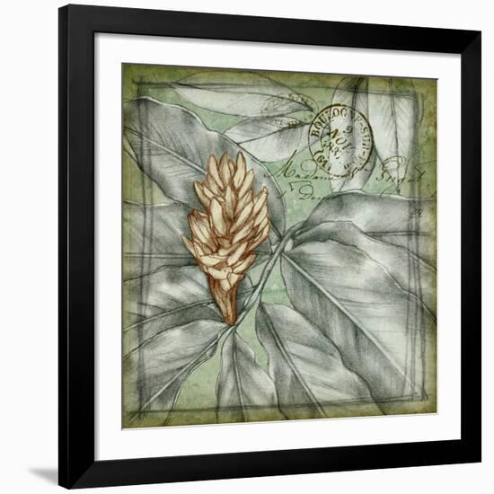 Postmark Tropicals II-Jennifer Goldberger-Framed Art Print