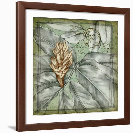 Postmark Tropicals II-Jennifer Goldberger-Framed Art Print