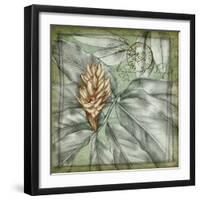 Postmark Tropicals II-Jennifer Goldberger-Framed Art Print