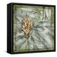 Postmark Tropicals II-Jennifer Goldberger-Framed Stretched Canvas