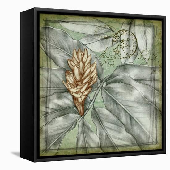 Postmark Tropicals II-Jennifer Goldberger-Framed Stretched Canvas