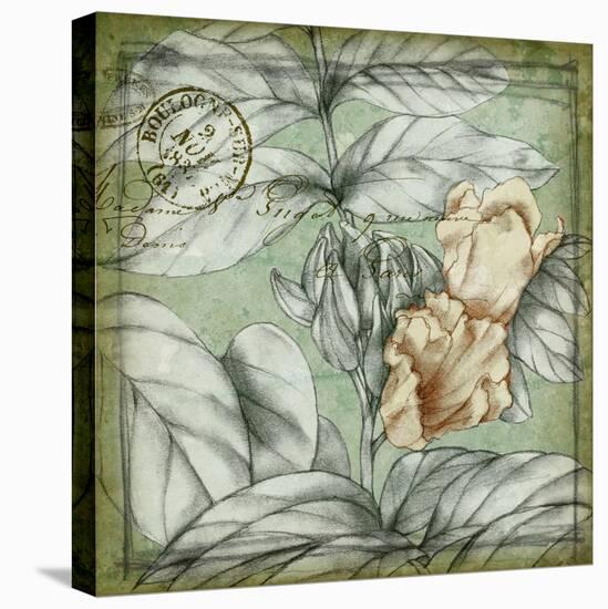 Postmark Tropicals III-Jennifer Goldberger-Stretched Canvas