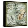 Postmark Tropicals III-Jennifer Goldberger-Framed Stretched Canvas