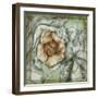 Postmark Tropicals IV-Jennifer Goldberger-Framed Art Print