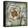 Postmark Tropicals IV-Jennifer Goldberger-Framed Stretched Canvas