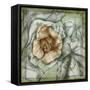 Postmark Tropicals IV-Jennifer Goldberger-Framed Stretched Canvas