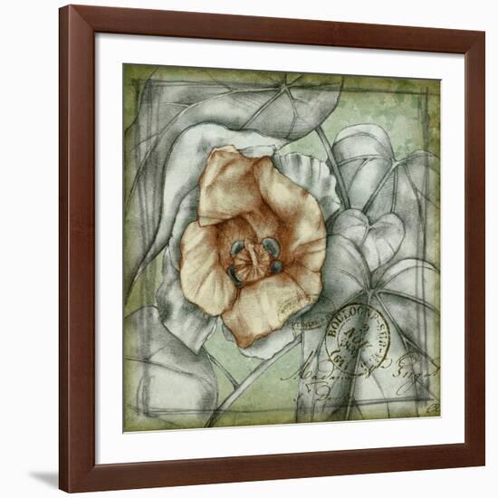 Postmark Tropicals IV-Jennifer Goldberger-Framed Art Print