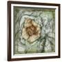 Postmark Tropicals IV-Jennifer Goldberger-Framed Art Print