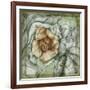 Postmark Tropicals IV-Jennifer Goldberger-Framed Art Print