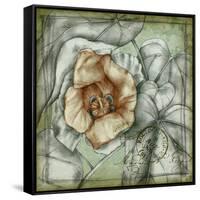 Postmark Tropicals IV-Jennifer Goldberger-Framed Stretched Canvas