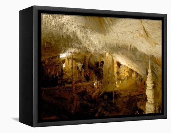 Postojna Cave, Postojna, Slovenia-Lisa S. Engelbrecht-Framed Stretched Canvas