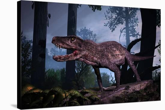 Postosuchus Was an Extinct Rauisuchian Reptile That Lived During the Triassic Period-null-Stretched Canvas