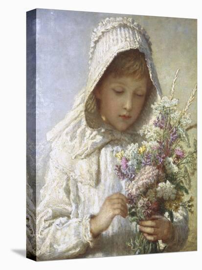 Posy of Pretty Flowers-Carl Bauerle-Stretched Canvas